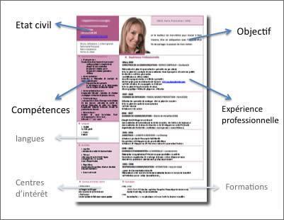 4. Les différentes rubriques d'un CV - JeTravaille - L 